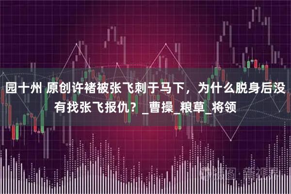 园十州 原创许褚被张飞刺于马下，为什么脱身后没有找张飞报仇？_曹操_粮草_将领