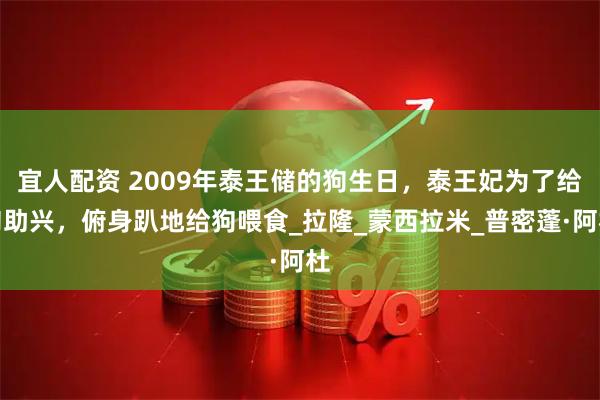 宜人配资 2009年泰王储的狗生日，泰王妃为了给狗助兴，俯身趴地给狗喂食_拉隆_蒙西拉米_普密蓬·阿杜